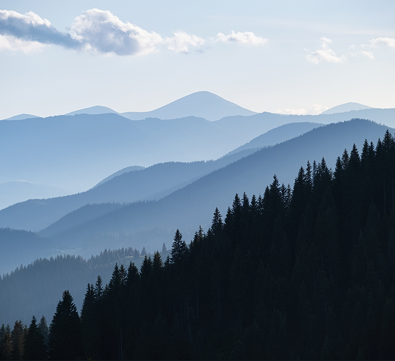 شركة نينغبو ييمان للمنسوجات المحدودة.